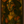 Whispers of the eternal muse