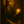 Bearer of Eternal Light