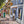 A Moment of Life in the Heart of the City - LiyahVisionoption2A Moment of Life in the Heart of the City