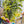 A Moment of Life in the Heart of the City - LiyahVisionoption2A Moment of Life in the Heart of the City